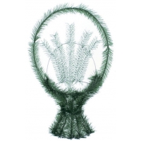 №0179 Basket