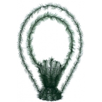 №0221 Basket