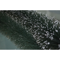 Polypropylene brush