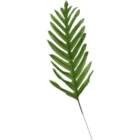 Лист К40