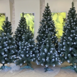Ялинки плівкові з білими кінчиками