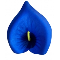 Calla head atlas blue
