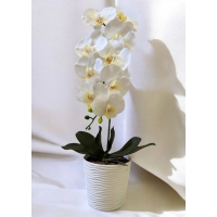 Artificial orchid pot 1 branch
