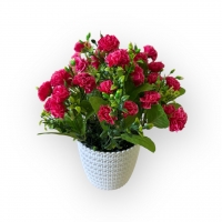 Carnation bouquet in a flowerpot
