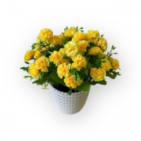 Carnation bouquet in a flowerpot
