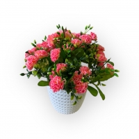 Carnation bouquet in a flowerpot