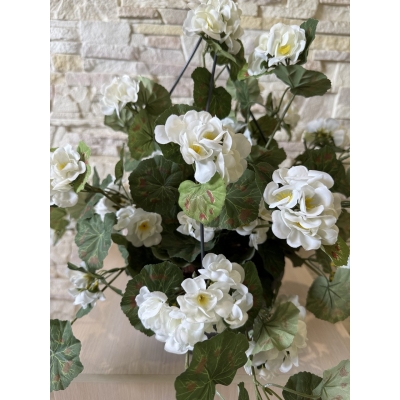 Сосна, 1,5 м. Розпушена