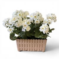 Artificial Pelargonium in a Rectangular Vase