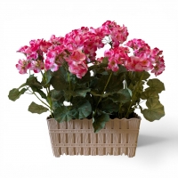 Artificial Pelargonium in a Rectangular Vase