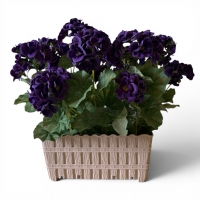 Artificial Pelargonium in a Rectangular Vase