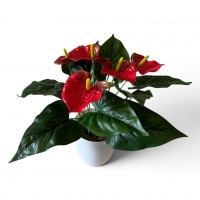 Artificial anthurium in a pot with bark